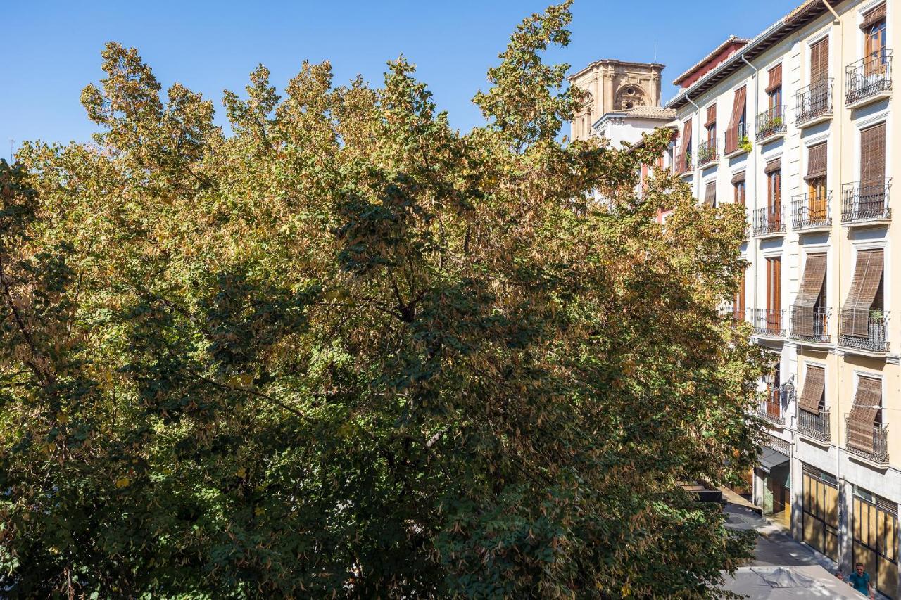 Dreaming Bib Rambla - Free Parking Apartment Granada Luaran gambar